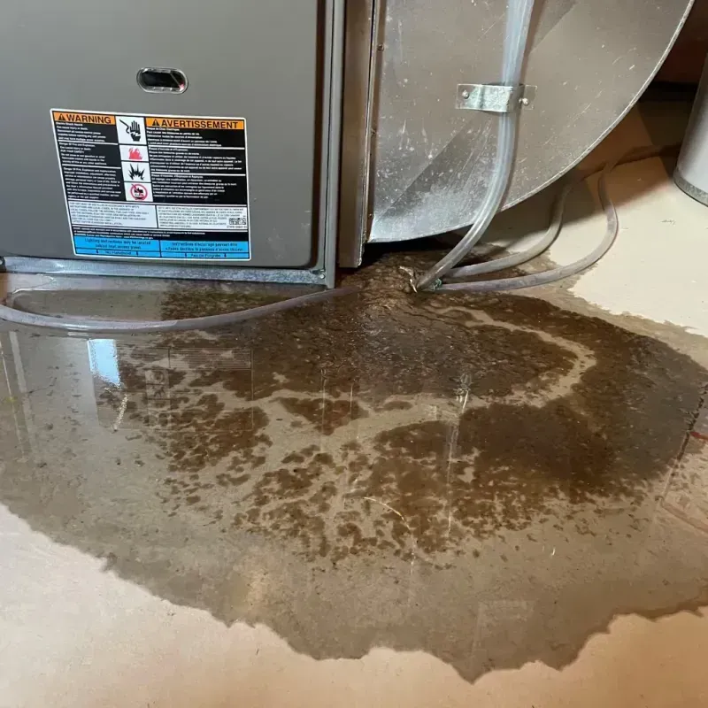 Appliance Leak Cleanup in Crothersville, IN